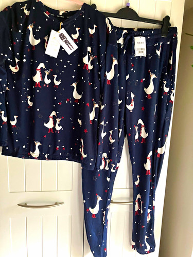 Next time dream - navy, duck
