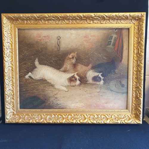 George armfield oil - george,