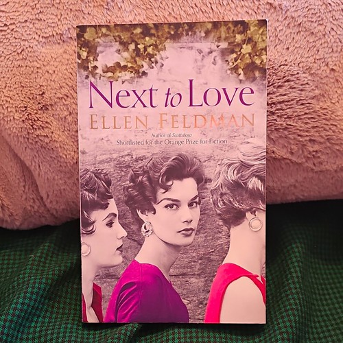 Next love ellen feldman pb - to,